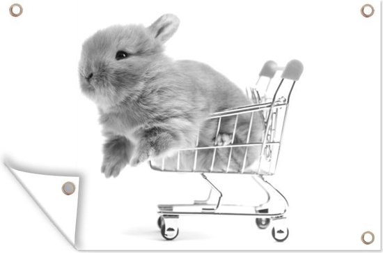 Muurdecoratie Baby konijn in een winkelwagen - zwart wit - 180x120 cm - Tuinposter - Tuindoek - Buitenposter