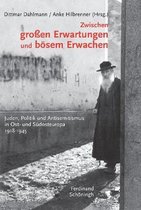 Zwischen Grossen Erwartungen Und Boesem Erwachen