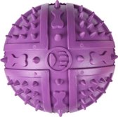 Flamingo Rubber Ball Met Spikes 9Cm - Paars