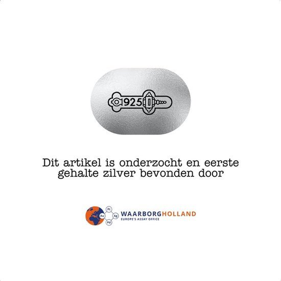 Zilverkleurige ovalen tag met "925" en "WaarborgHolland Europe's Assay Office" logo.