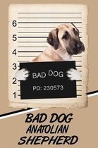 Bad Dog Anatolian Shepherd