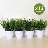 Kunstplanten assorti pakket van 12 cm met 23 Maceta