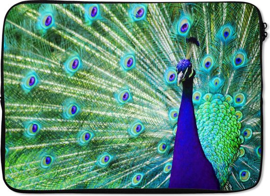 Housse ordinateur 13 pouces - Paon - Ressorts - Gros plan - Housse ordinateur