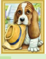 Diamond Painting Hondje 40x50 Vierkante Steentjes 3D