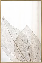 JUNIQE - Poster met kunststof lijst Skeleton Leaves -40x60 /Ivoor