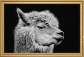 JUNIQE - Poster met houten lijst Llama II -13x18 /Wit & Zwart