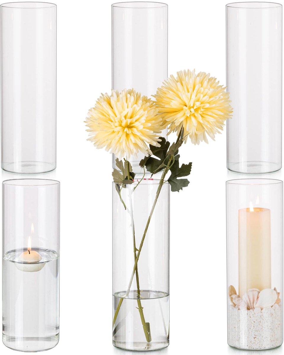 Glazen Cilinder Vazen - Set van 6 - Bloemen Schikken - Kristalhelder Glas - 25 cm Hoog - Helder