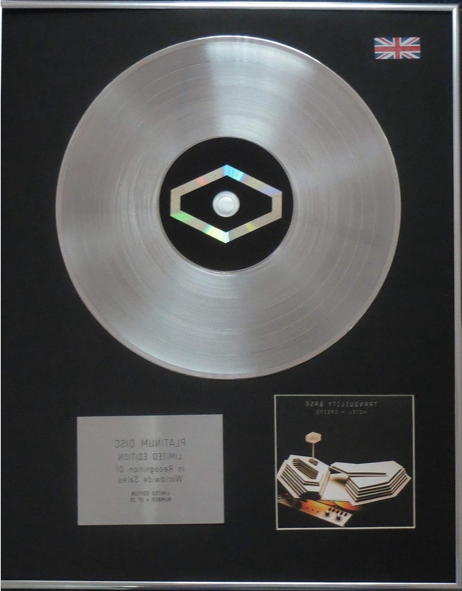 Muziek Memorabilia - Album Display - Verzamelen Muziek - Limited Edition - 50x40 cm - Zilver