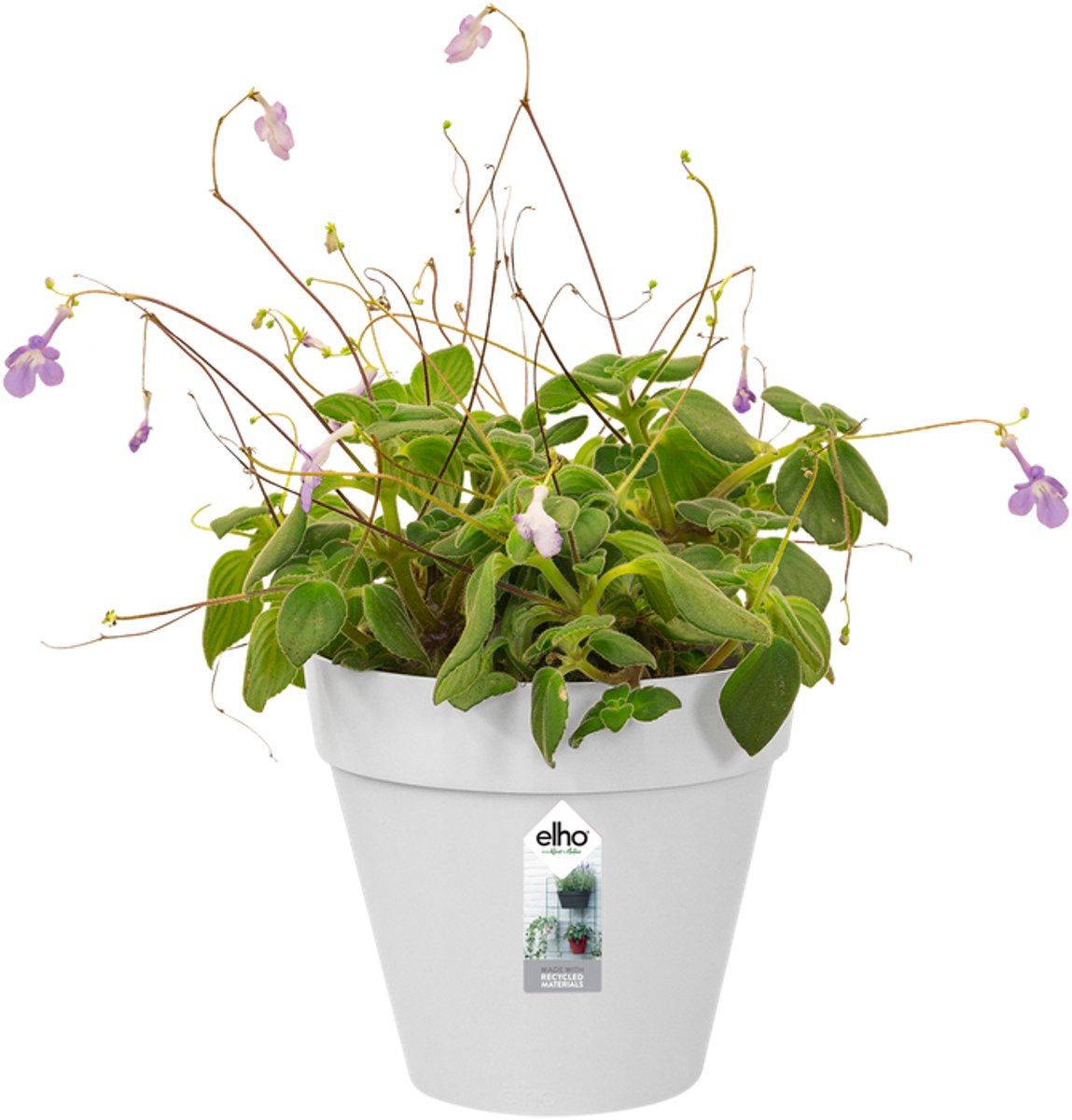 Elho Loft Urban Green Wall Pot Single 15 - Pot de fleurs pour l'extérieur
