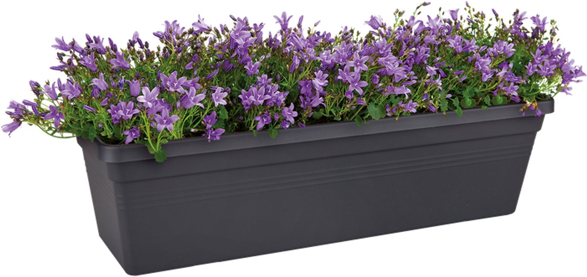 Elho Green Basics Balcony Planter 60 - For Outdoor Balcony