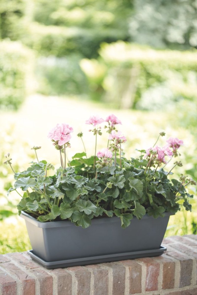Elho Barcelona Balcony Planter 90 - For Outdoor Balcony