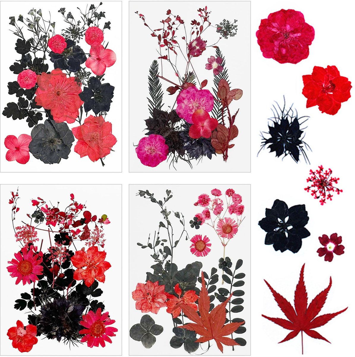 Dailygoods - 64 Stuks Natuurlijke Geperste Gedroogde Bloemen voor Scrapbooking en Decoratie