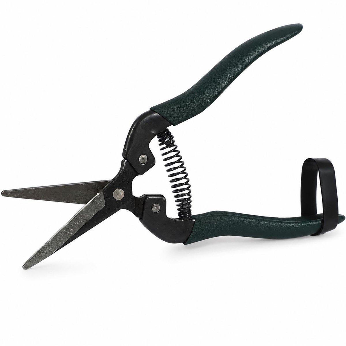 Dailygoods - Snoeischaar voor Verse Takken en Planten (190 mm)