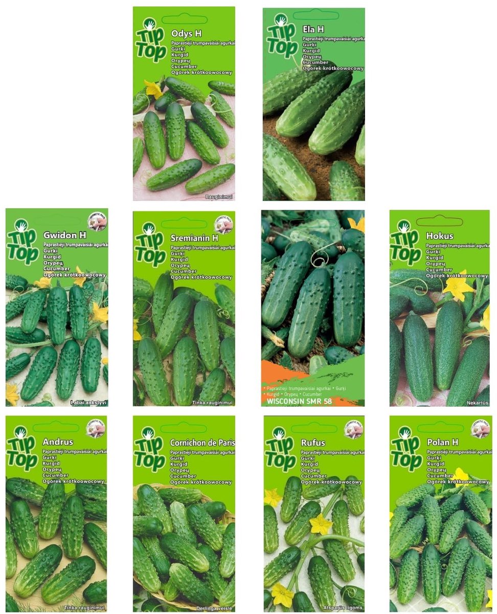 Dailygoods - Komkommerzaad Set - 10 Verschillende Soorten voor Tuinplant Zaden