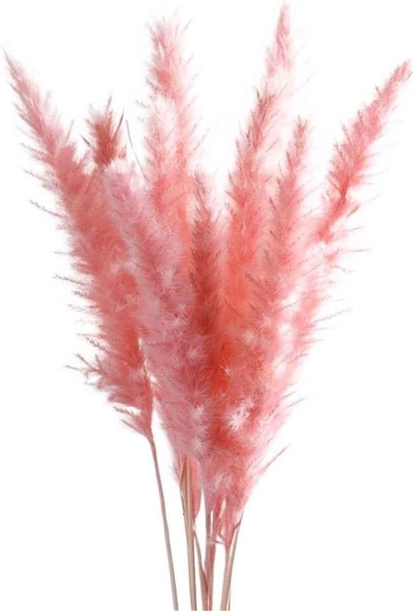 Pampasgras Boeket - Droogbloemen Kunstbloemen - Woonkamer Decoratie - Pluizige Staande Bloemen - 10 stuks - Roze