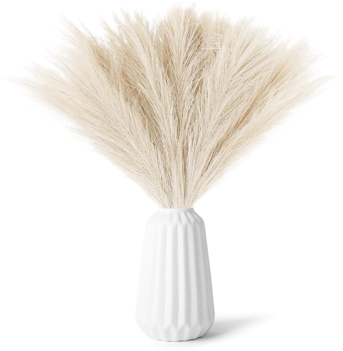 Dailygoods - 30 Stuks Gedroogd Pampasgras voor Boho Decoratie