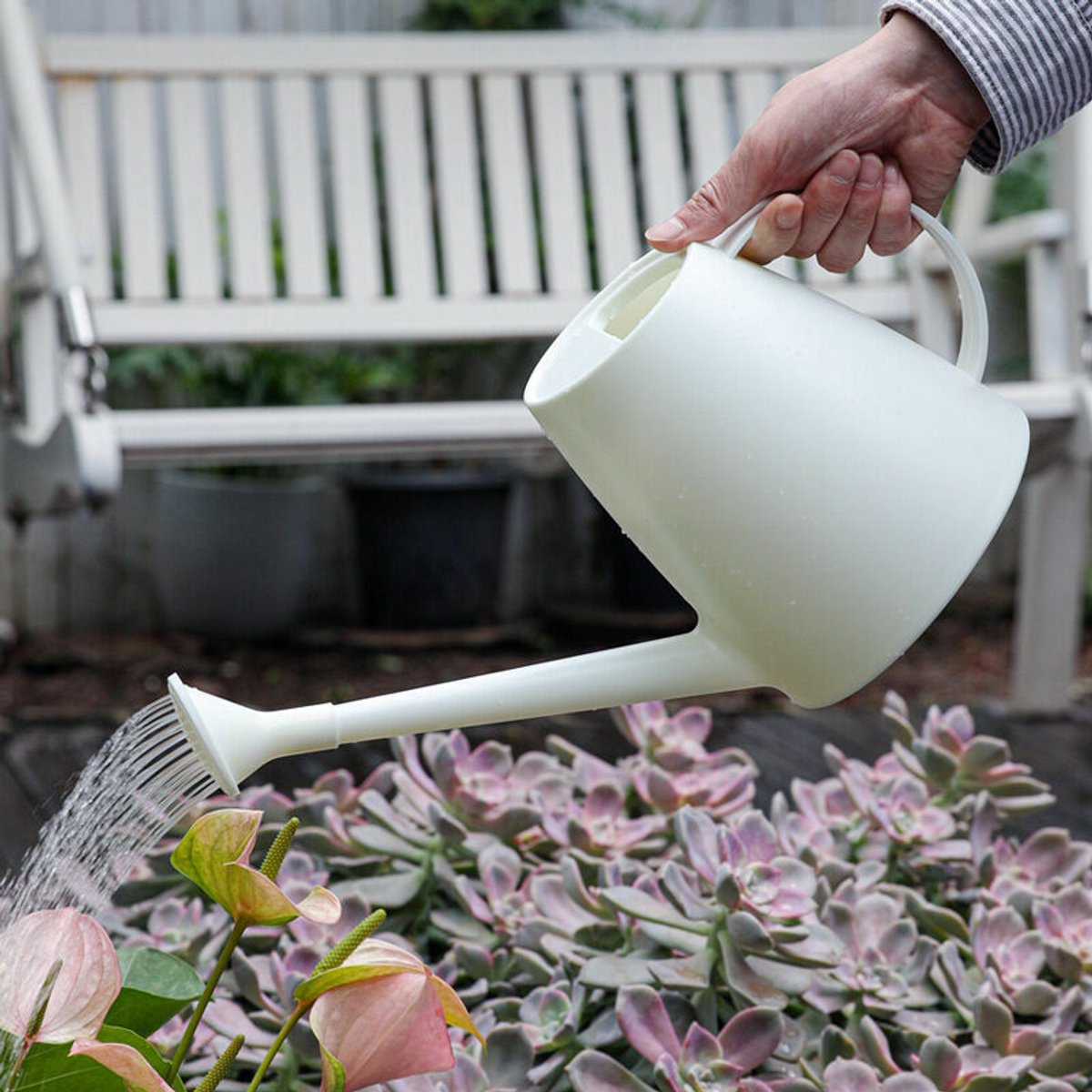 Witte kunststof gieter (1,8 l) met lange tuit