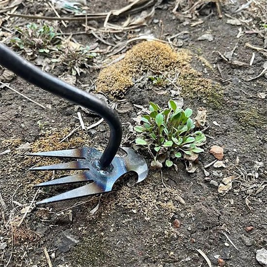 Onkruidtrekker Tool - Hand Wieden - Tuin Onderhouden - 4 Tanden Ontwerp - 30 cm Lengte - Zilver — afbeelding 2