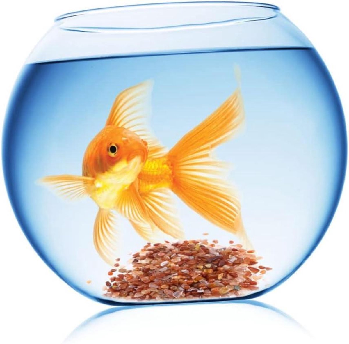 Aquarium Grind - Decoratie Stenen - Aquarium Inrichten - Lichtgevend Gesteente - 100 gram - Diverse Kleuren