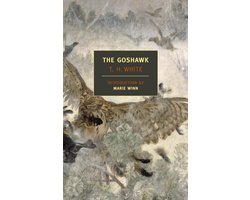 Goshawk