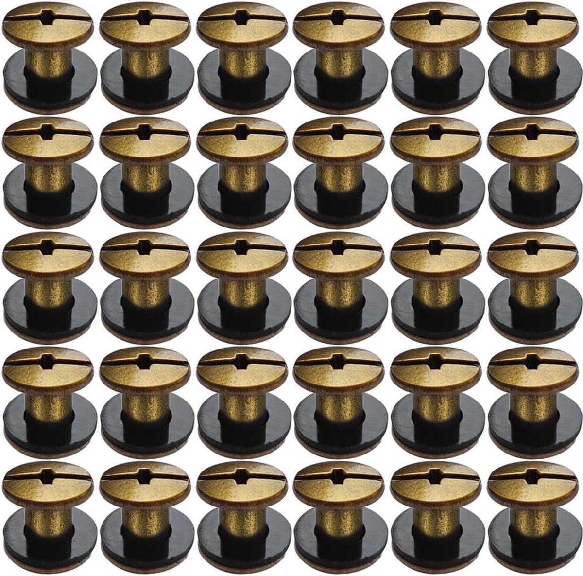 RVS Chicago Screws M5 x 6 mm voor Boekbinding, Leren Tassen, Rugzakken en Hondenhalsbanden - 30 Stuks