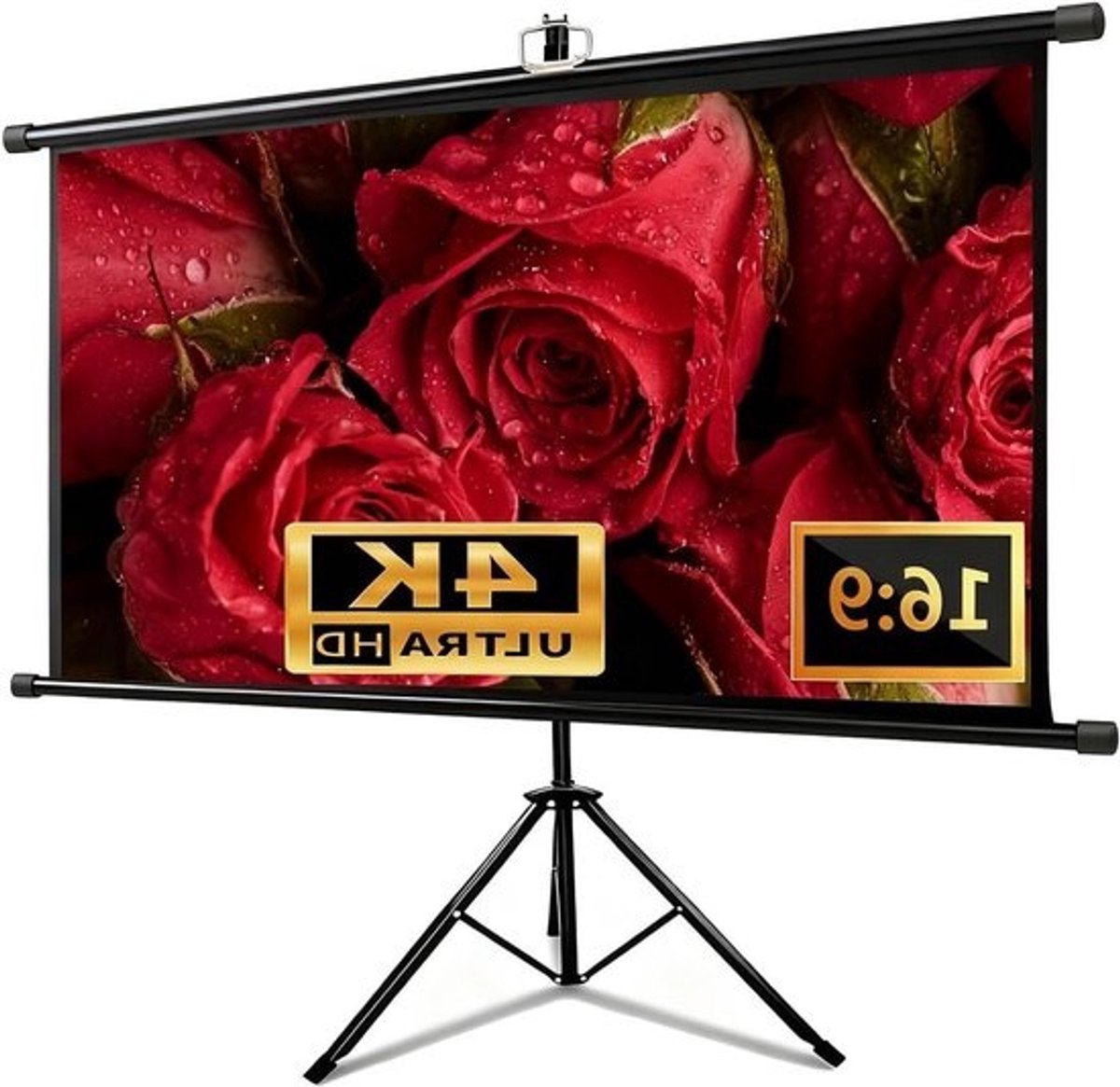 Projectiescherm met Statief - Filmscherm Beamer - Thuisbioscoop Creëren - Verstelbaar in Hoogte - 72 inch 16:9 - Zwart