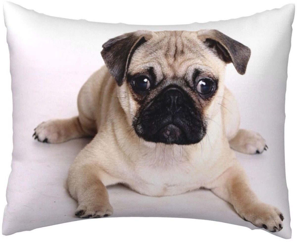Kussensloop - Pug Dogs 50x66 cm