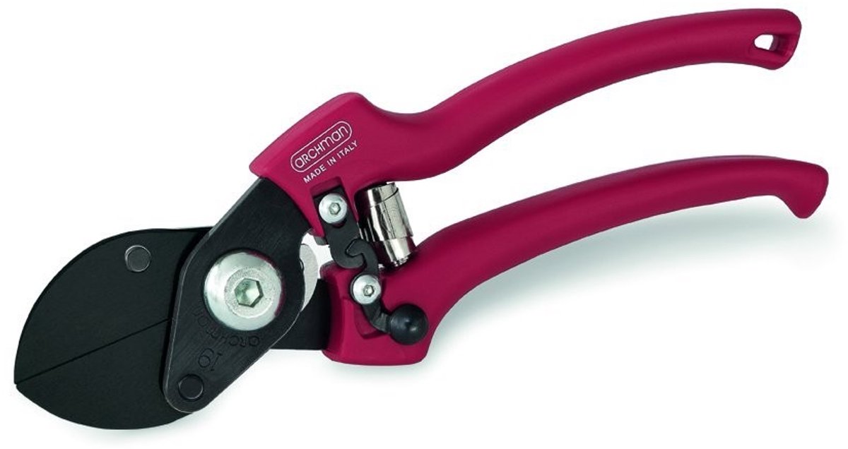 Dubbele Snijder - 21 cm met verwisselbare messen