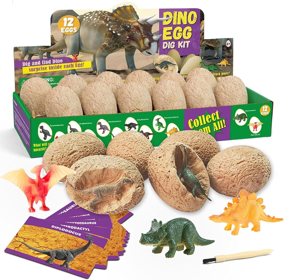 Opgravingsset voor Kinderen - Graafset - Dinosaurusmodellen - 12 Dinosaurus Eieren & 12 Gereedschappen - Gips - Voor Kinderen 6-12 Jaar - Educatief Speelgoed