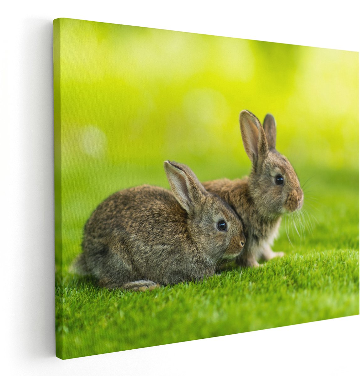 Artaza Canvas Schilderij Twee Konijnen Op Het Groene Gras - 150x120 cm - Groot - Wanddecoratie Woonkamer - Schilderijen - Muurdecoratie
