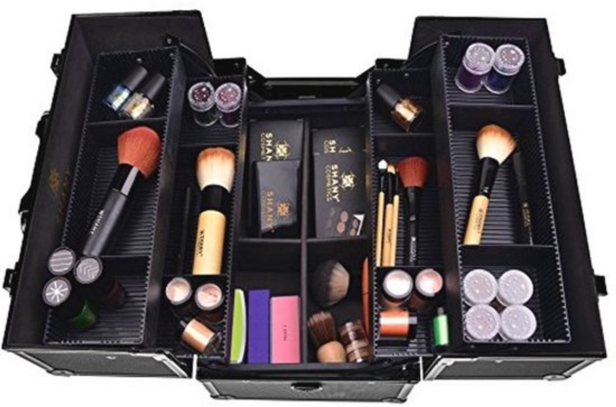 Essentiële Pro Make-up Train Case - Draagbare Cosmetische Organizer met Compartimenten en Vergrendelingen