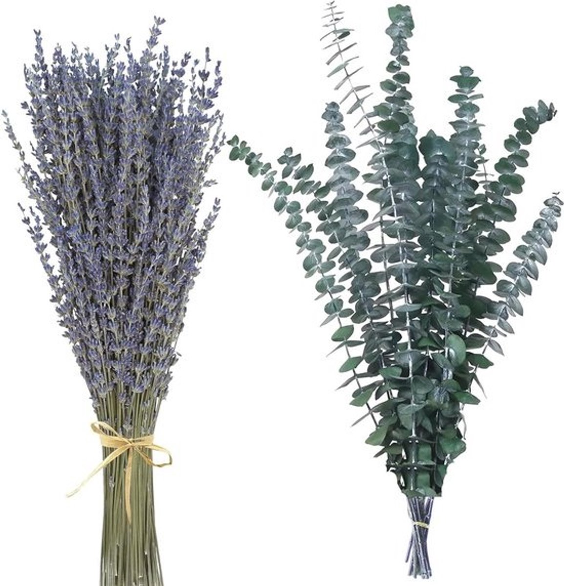 Gedroogde Eucalyptus en Lavendel voor DIY Boeket en Decoratie