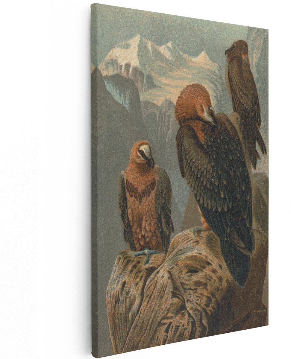 Artaza Canvas Schilderij Lammergier - 120x180 cm - Groot - Wanddecoratie Vogels - Muurdecoratie Bergen - Decoratie Vintage Natuur