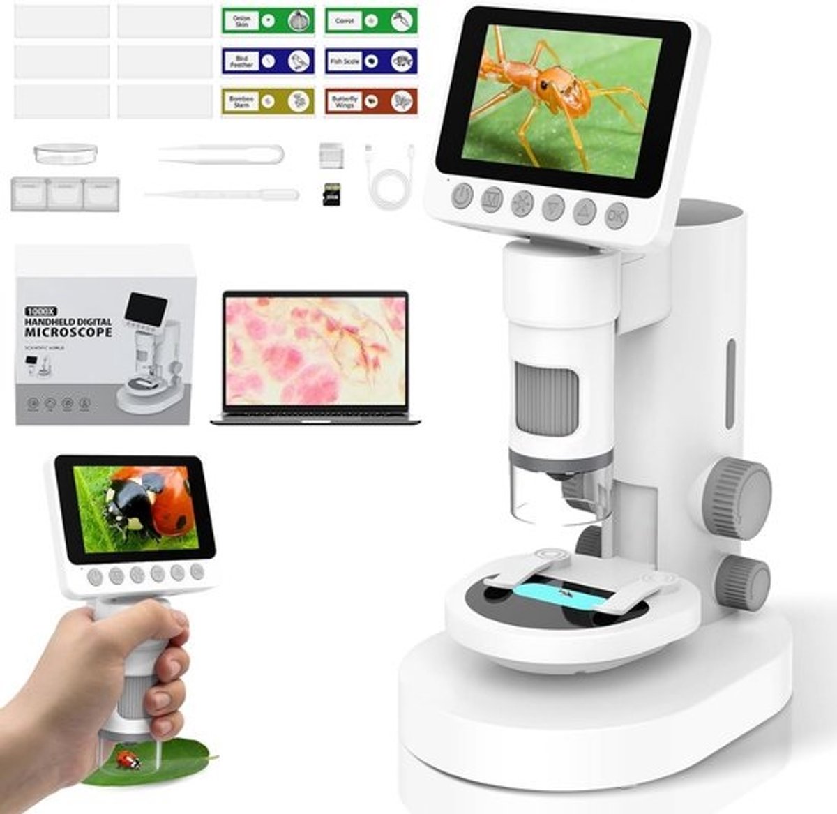 Draagbare digitale zakmicroscoop voor kinderen en volwassenen - 1000X vergroting voor wetenschappelijk leren en onderzoek
