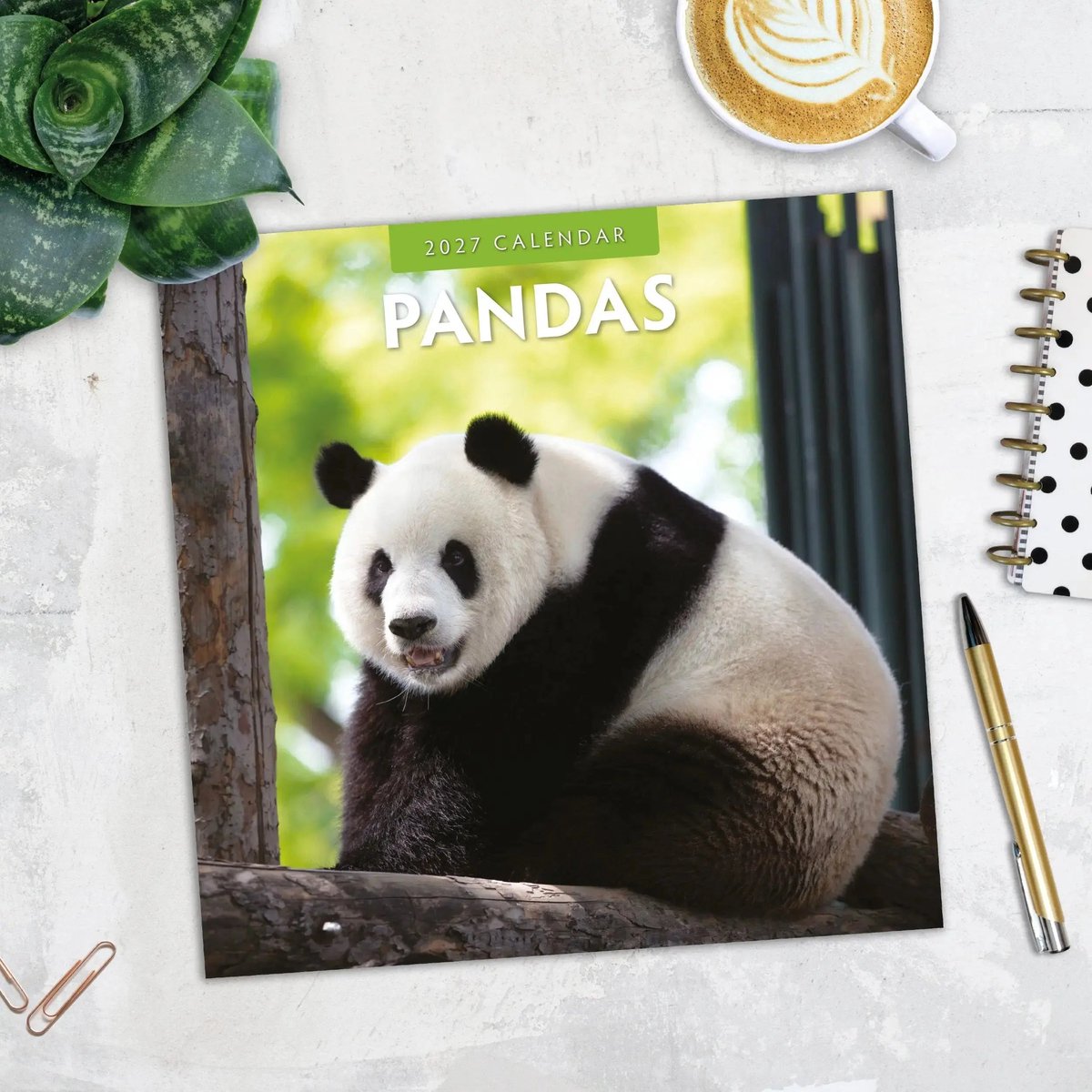Panda Kalender 2027
