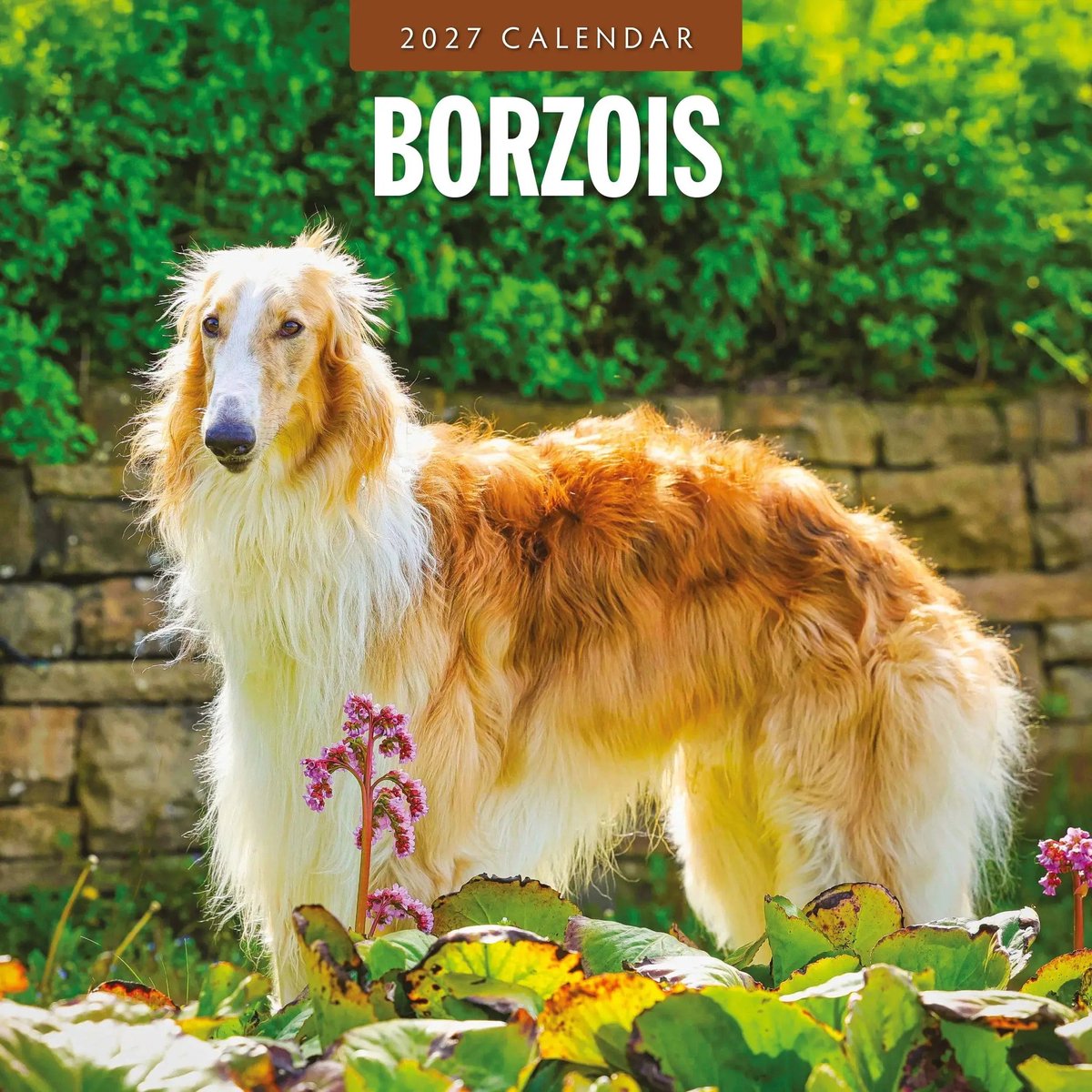 Borzois Kalender 2027