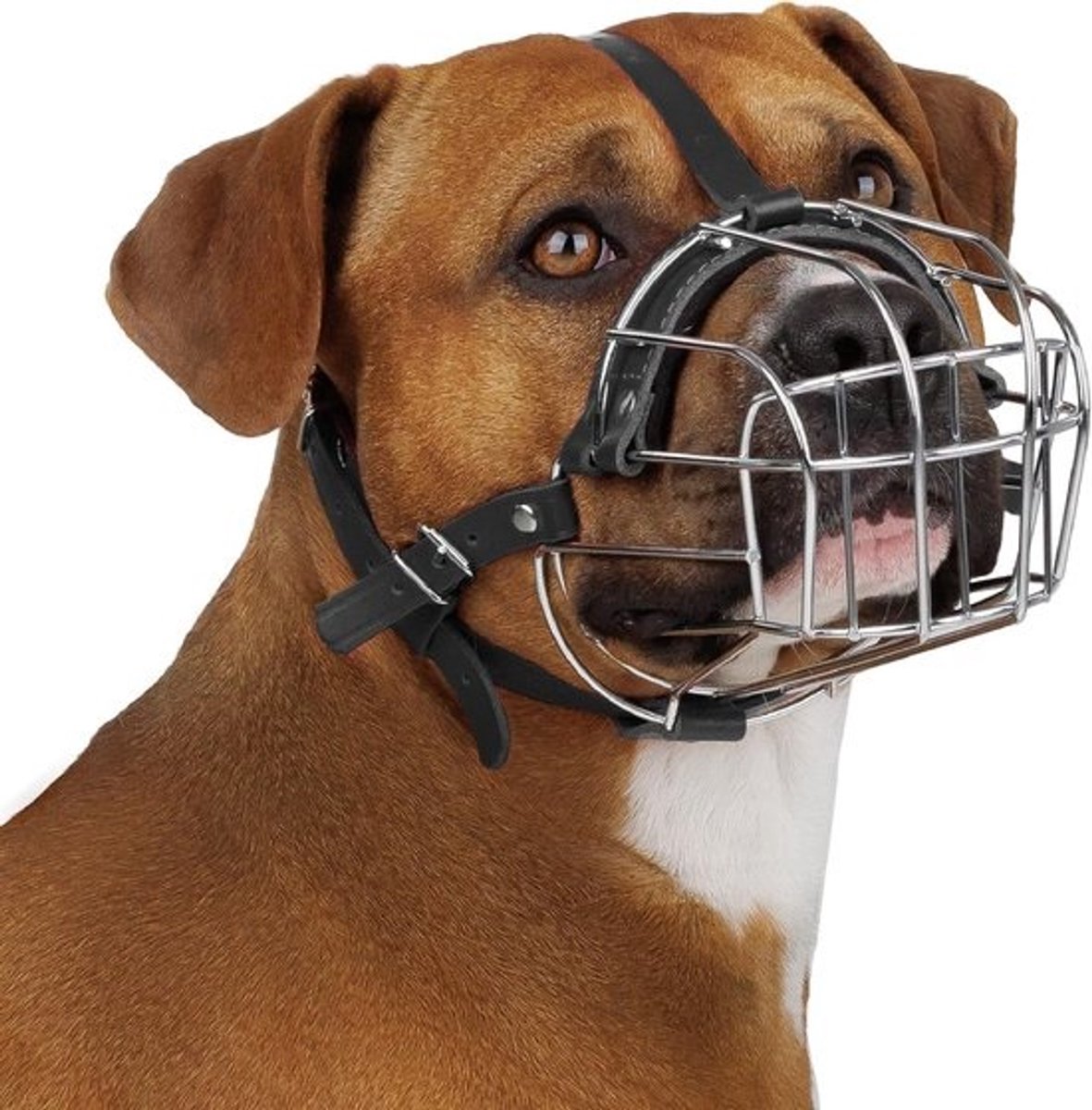 Duurzame Metalen Draad Muilkorf voor Middelgrote Honden zoals Pitbull en Amstaff