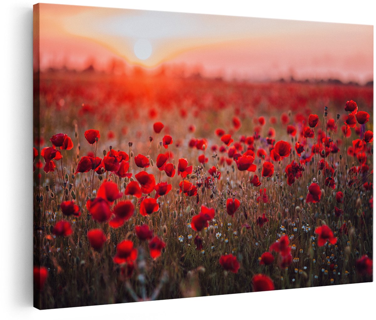 Artaza Canvas Schilderij Rode Klaprozen Bloemenveld Zonsondergang - 150x100 cm - Groot - Wanddecoratie Woonkamer - Schilderijen - Muurdecoratie