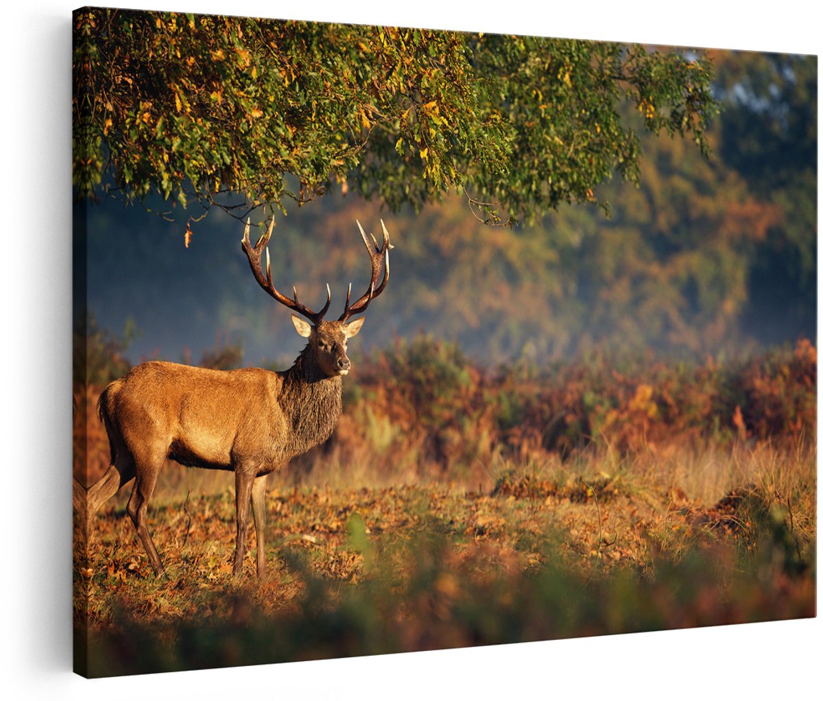 Artaza Canvas Schilderij Hert onder een Boom in de Weide - 150x100 cm - Groot - Foto Op Canvas - Wanddecoratie Woonkamer