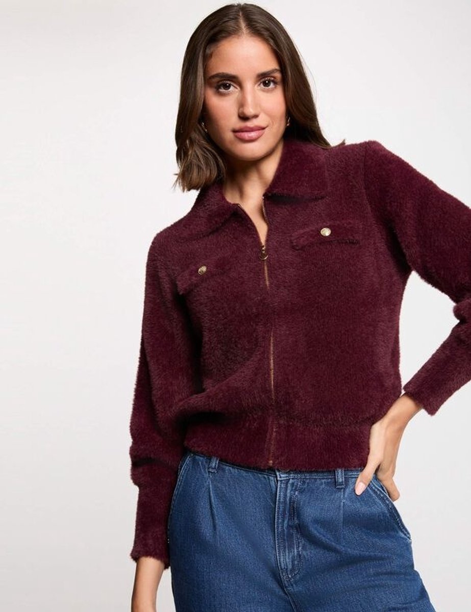 Morgan - Vest met lange mouwen en reverskraag 232-Mdomi Pruimkleurig - Maat : XL