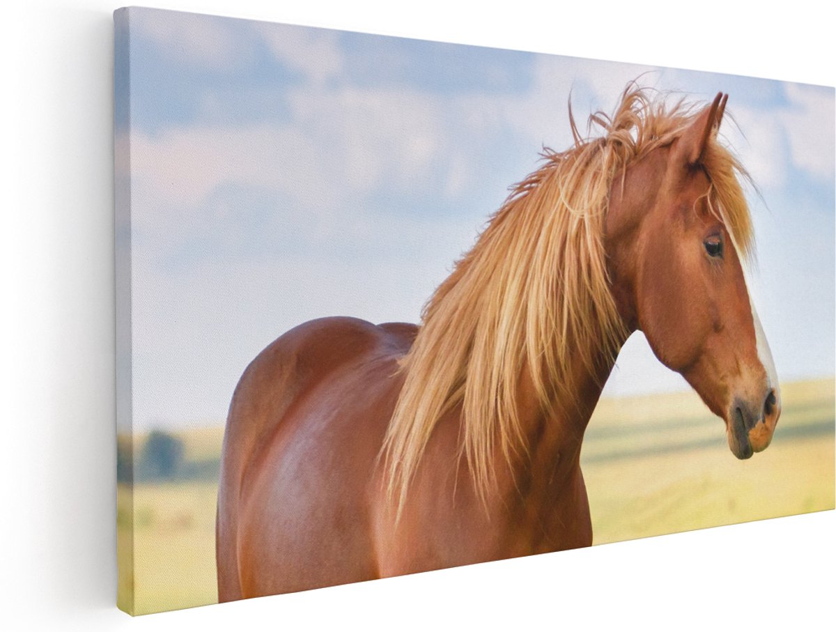 Artaza Canvas Schilderij Bruin Paard In De Wei - 180x90 cm - Groot - Wanddecoratie Woonkamer - Schilderijen - Muurdecoratie