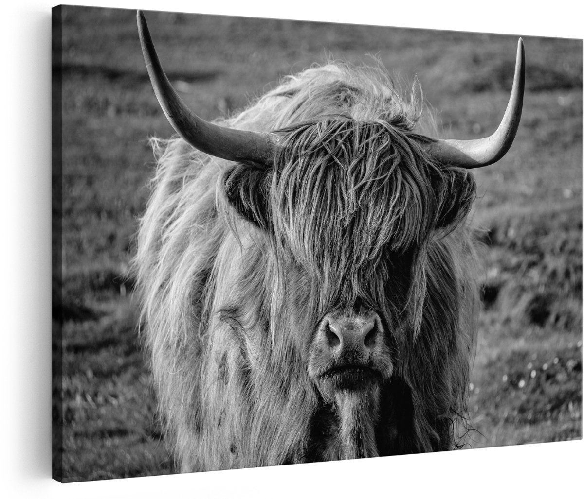 Artaza Canvas Schilderij Schotse Hooglander Koe - Zwart Wit - 180x120 cm - Groot - Foto Op Canvas - Wanddecoratie Woonkamer
