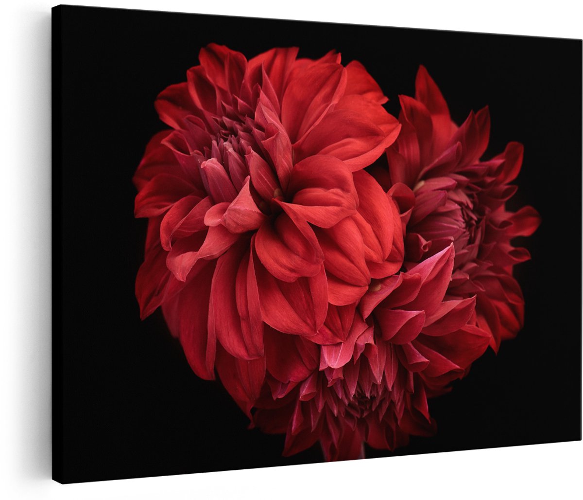Artaza Canvas Schilderij Rode Dahlia Bloemen - 180x120 cm - Groot - Foto Op Canvas - Wanddecoratie Woonkamer