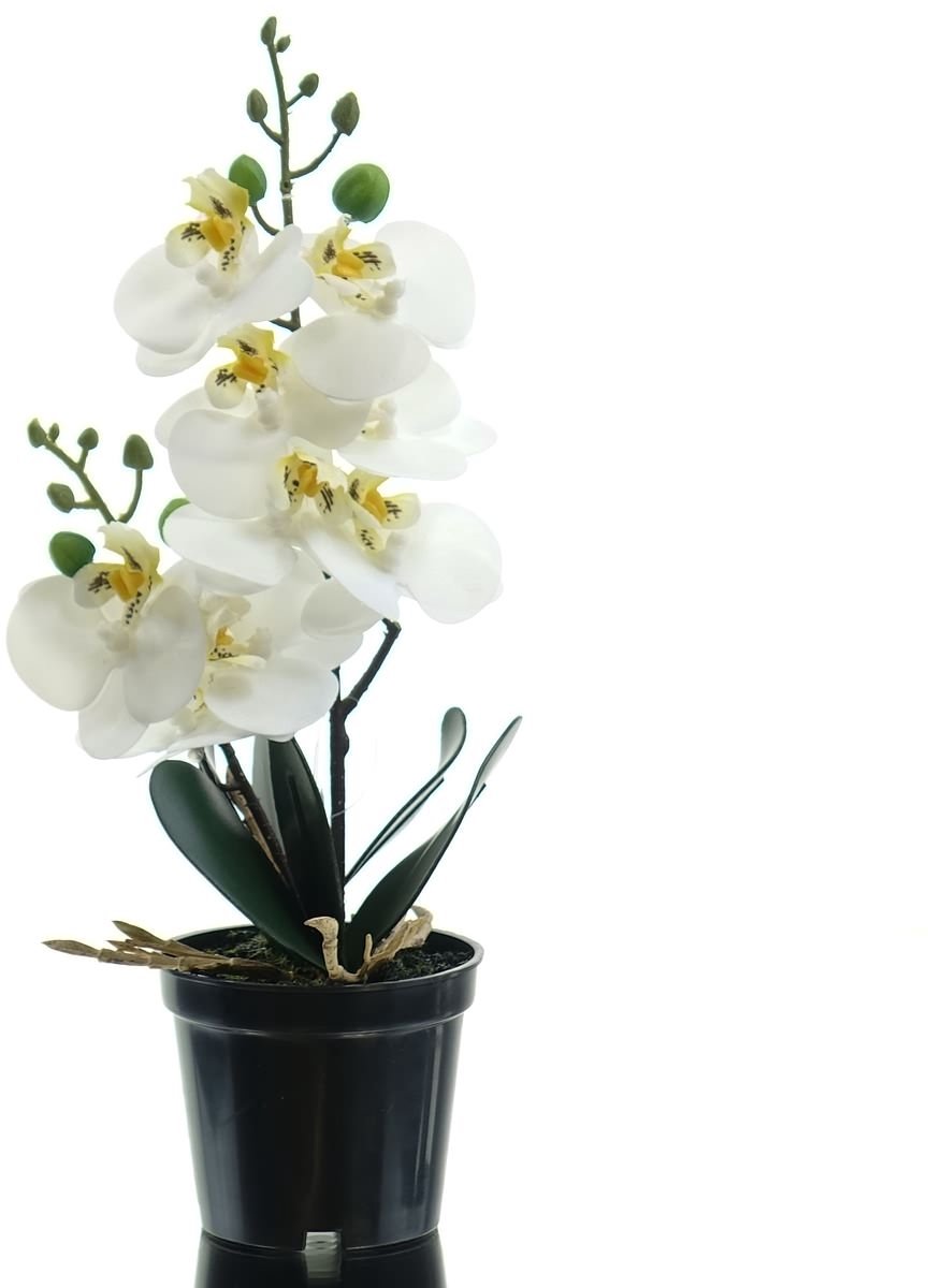 Gasper Orchidee Phalaenopsis Wit in zwarte pot 30 cm - Kunstplanten
