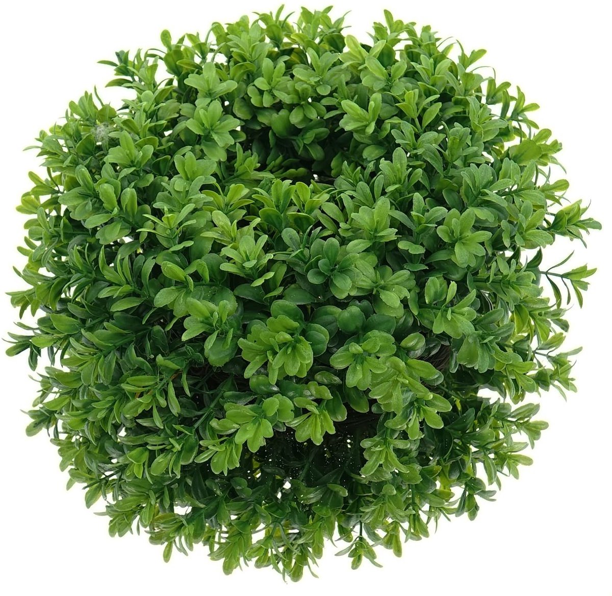 Gasper Buxuskrans Ø 33 cm - Kunstplanten