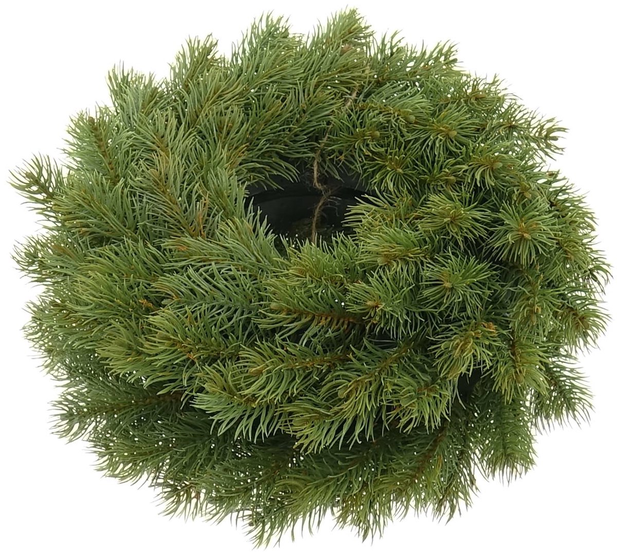 Gasper Adventskrans den groen Ø 30 cm - kunststof