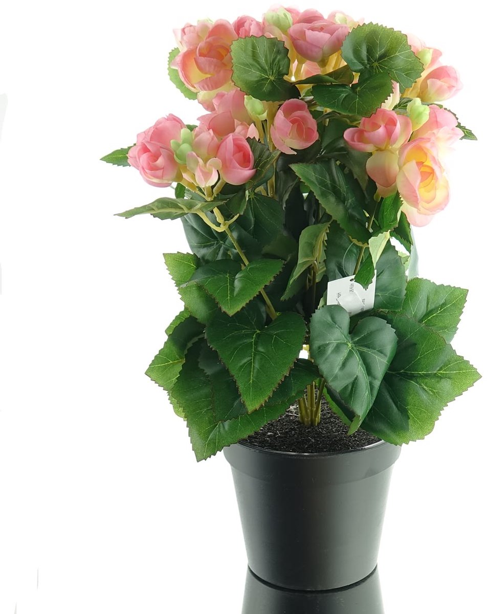 Gasper Elatior-begonia Roze in zwarte pot 38 cm - Kunstbloemen