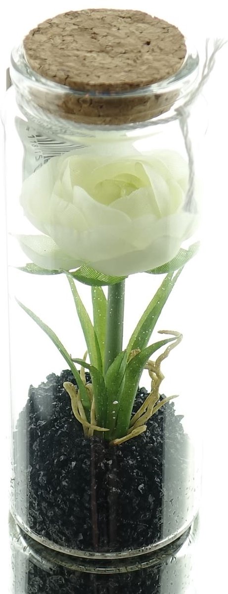 Gasper Ranonkel Wit in Glas met Deksel 12,5 cm - Kunstplant