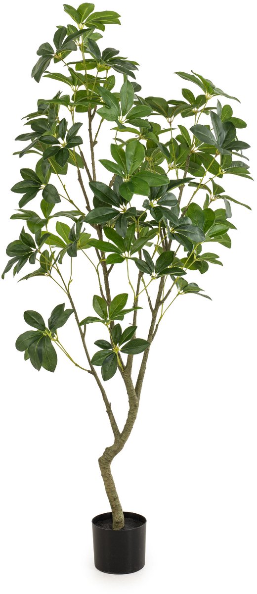 Kunstplant Schefflera - Levensecht - Onderhoudsvrij - Groen Decoratie