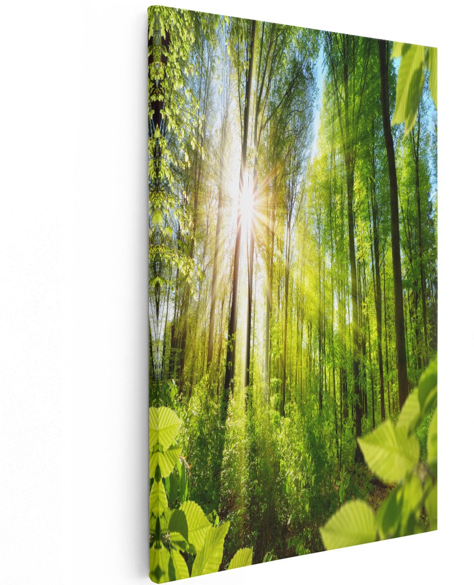 Artaza Canvas Schilderij Weg Omringd Met Bomen In Het Bos - 120x180 cm - Groot - Wanddecoratie Woonkamer - Schilderijen - Muurdecoratie
